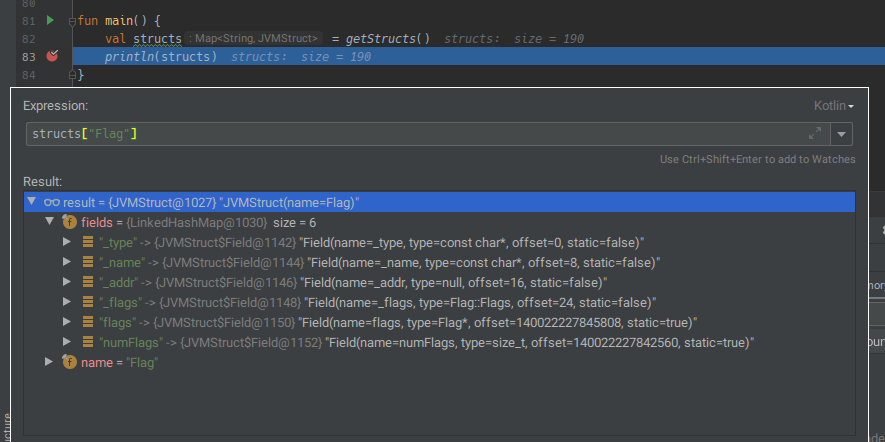 A screenshot of IntelliJ IDEA's debugger, showing information about the Flag struct